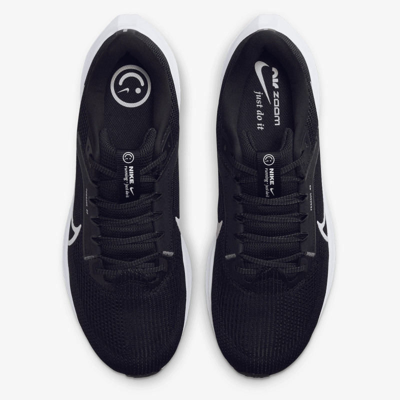 Pegasus 40 