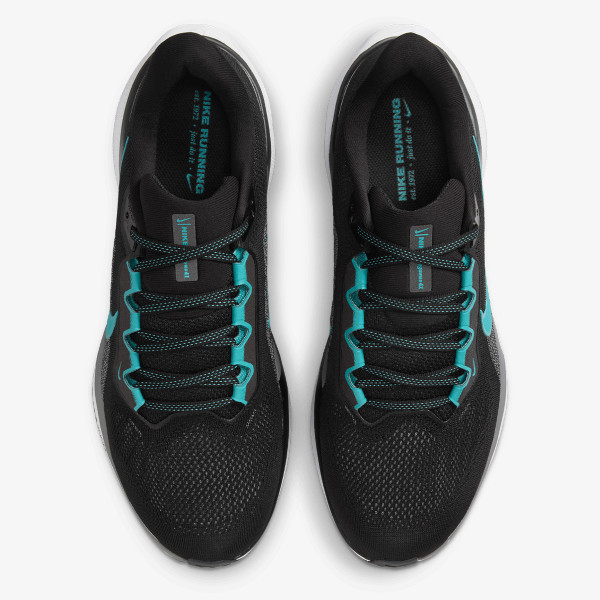 AIR ZOOM PEGASUS 41 