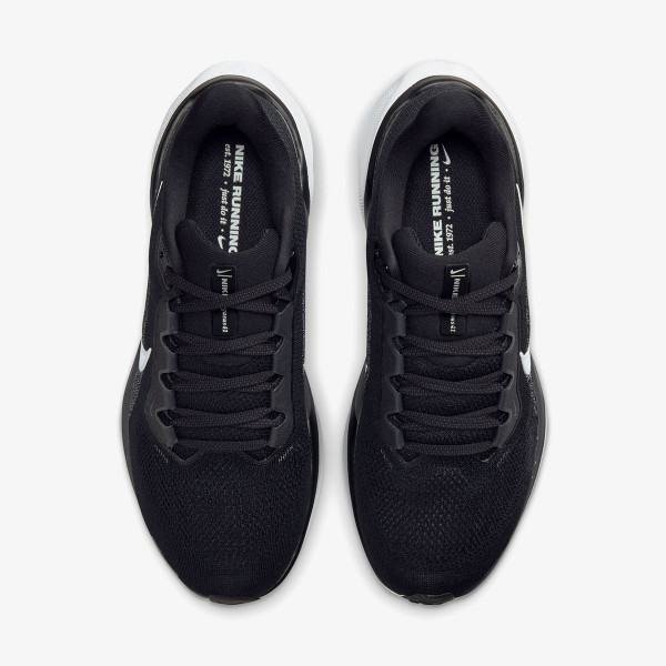 Nike Air Zoom Pegasus 41 