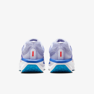Nike NIKE AIR WINFLO 11 
