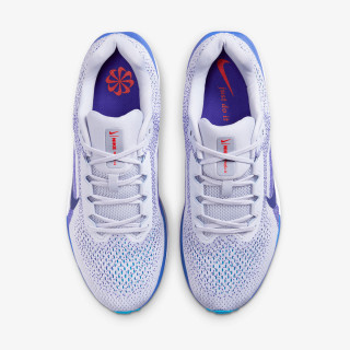 Nike NIKE AIR WINFLO 11 