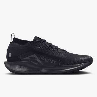 Nike Pegasus Trail 5 Gore-tex 