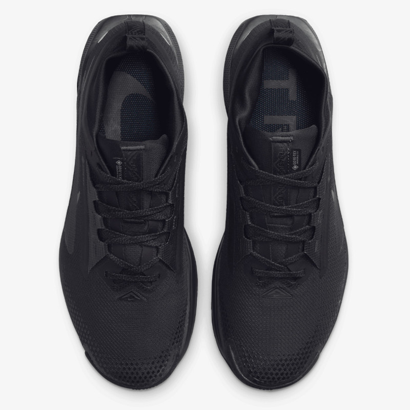 Nike Pegasus Trail 5 Gore-tex 