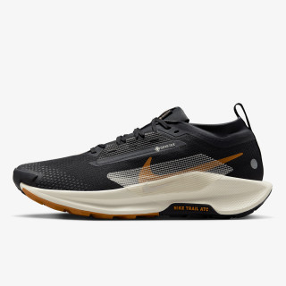 Nike NIKE PEGASUS TRAIL 5 GTX 
