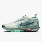 Nike NIKE PEGASUS TRAIL 5 GTX 