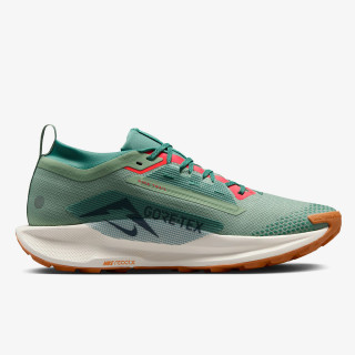 Nike Pegasus Trail 5 Gore-tex 