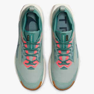 Nike Pegasus Trail 5 Gore-tex 