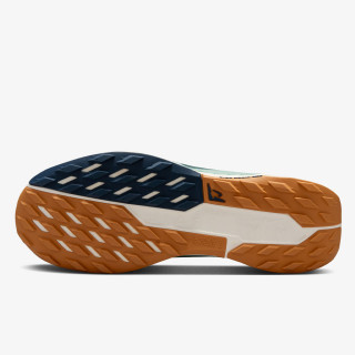 Nike Pegasus Trail 5 Gore-tex 
