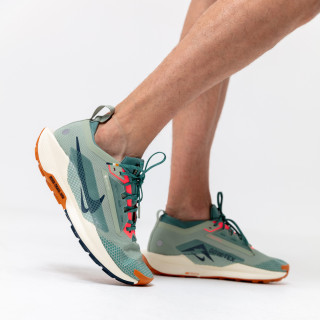 Nike Pegasus Trail 5 Gore-tex 