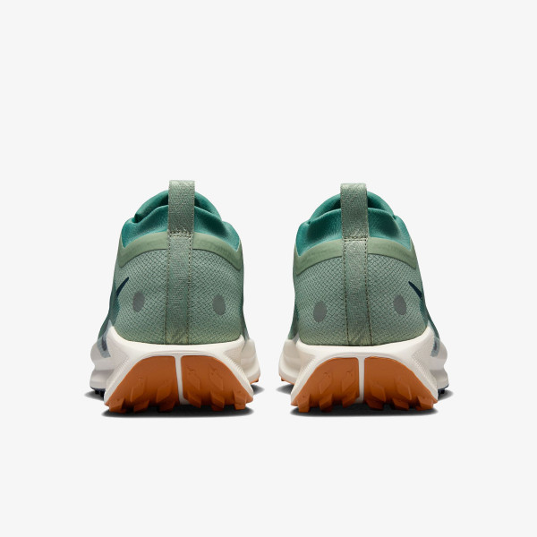 Nike Pegasus Trail 5 Gore-tex 