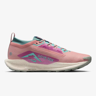 Nike Pegasus Trail 5 Gore-tex 