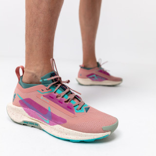 Nike Pegasus Trail 5 Gore-tex 
