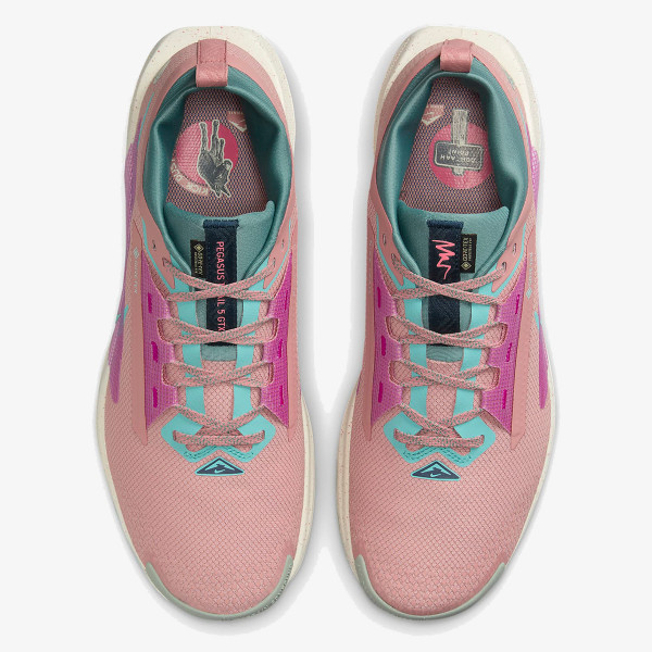 Nike Pegasus Trail 5 Gore-tex 