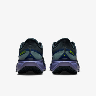 Nike AIR ZM PEGASUS 41 GTX 