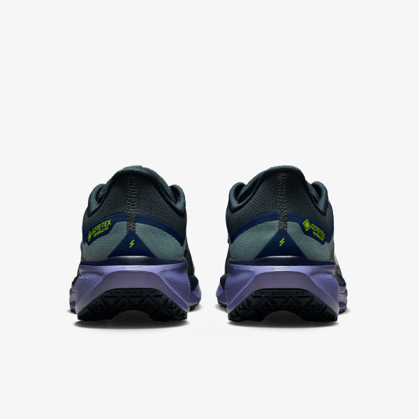 Nike AIR ZM PEGASUS 41 GTX 