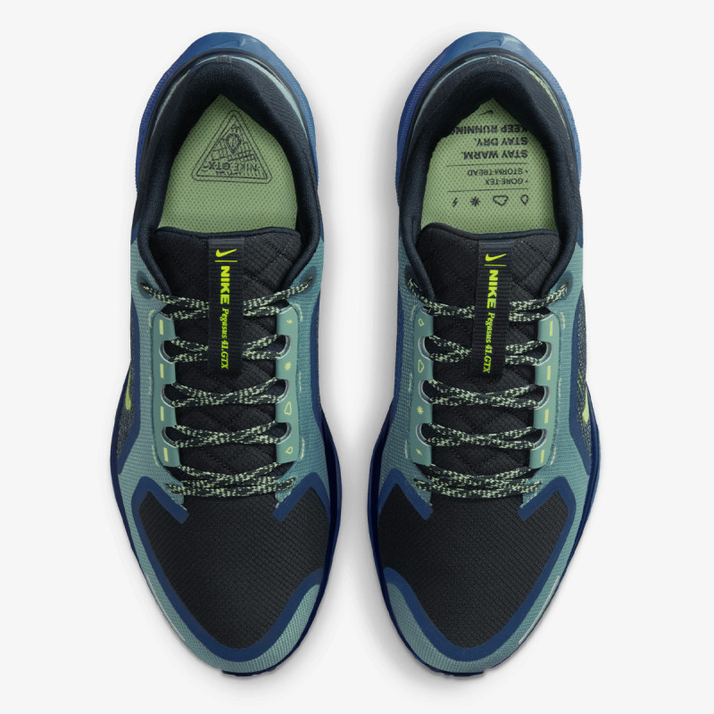 Nike AIR ZM PEGASUS 41 GTX 