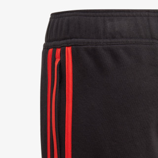 adidas B BOLD  PANT 
