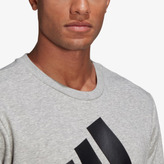 ESSENTIALS BIG LOGO 