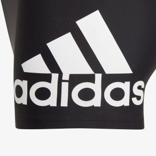 Badge of Sport Brief 