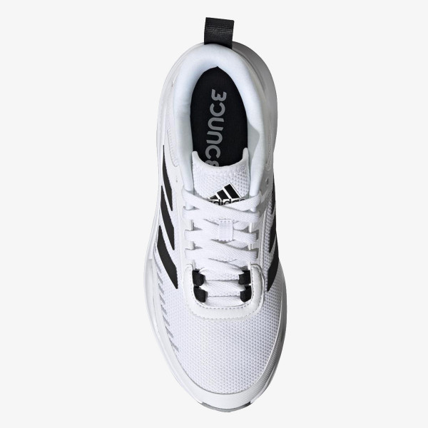 TRAINER V 