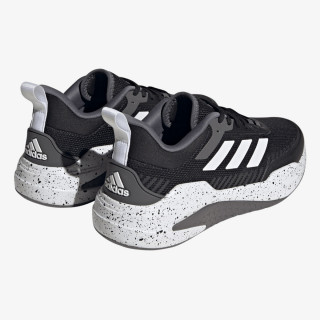 TRAINER V 