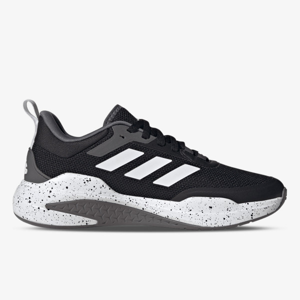TRAINER V 