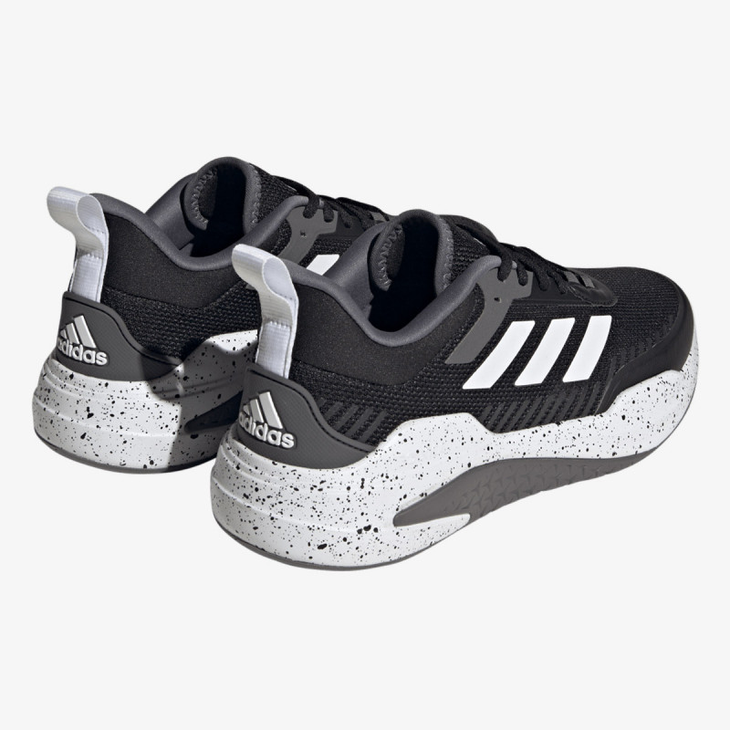 TRAINER V 