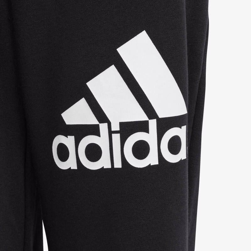 Big Logo 