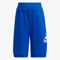 LB KN SHORT 