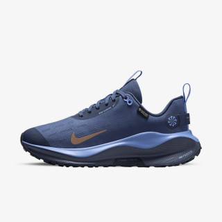 Nike W REACTX INFINITY RN 4 GTX V2 