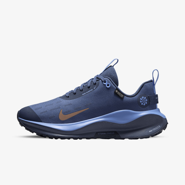 Nike W REACTX INFINITY RN 4 GTX V2 