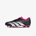 PREDATOR ACCURACY.4 FLEXIBLE GROUND 