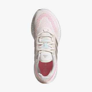 PUREBOOST 22 