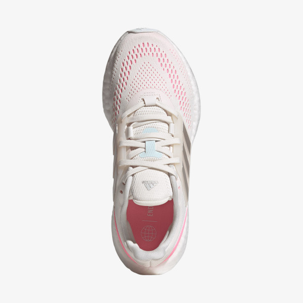 PUREBOOST 22 