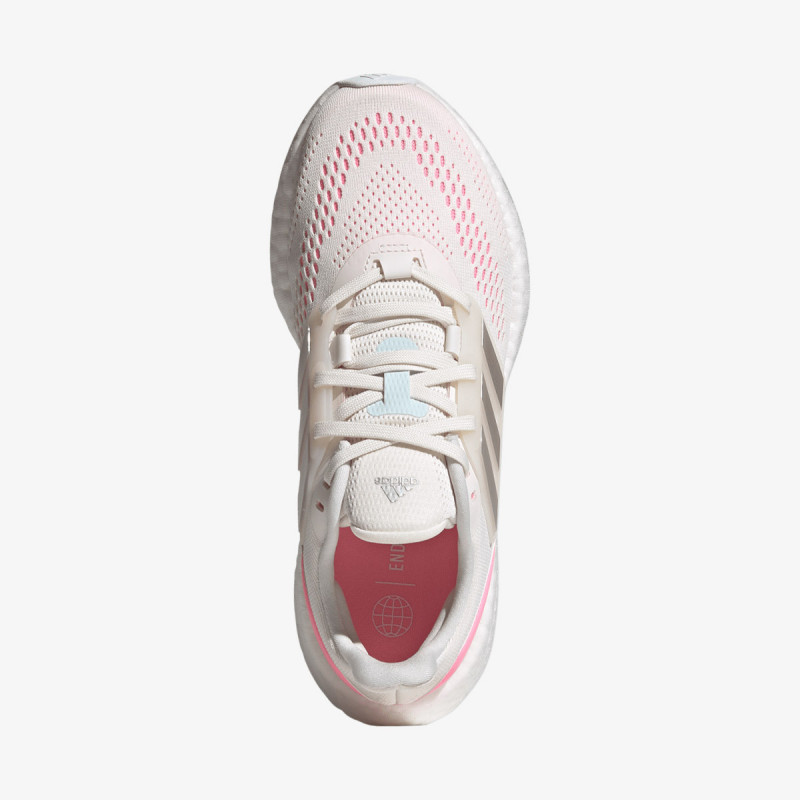 PUREBOOST 22 