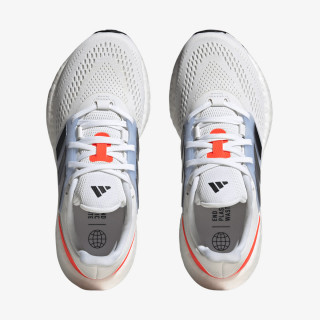 Pureboost 22 