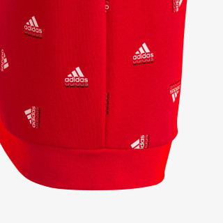 Brand Love 