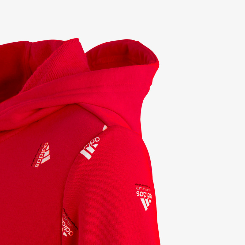 Brand Love 