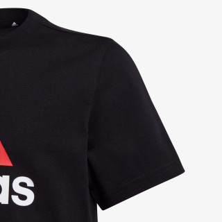 ESSENTIALS TWO-COLOR BIG LOGO 