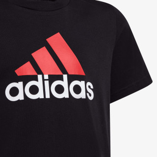 ESSENTIALS TWO-COLOR BIG LOGO 