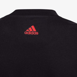 ESSENTIALS TWO-COLOR BIG LOGO 