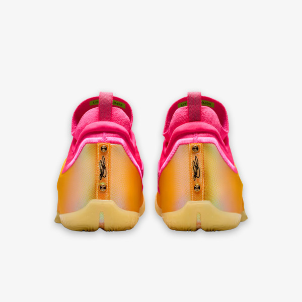 Nike LEBRON XXIII ELITE 