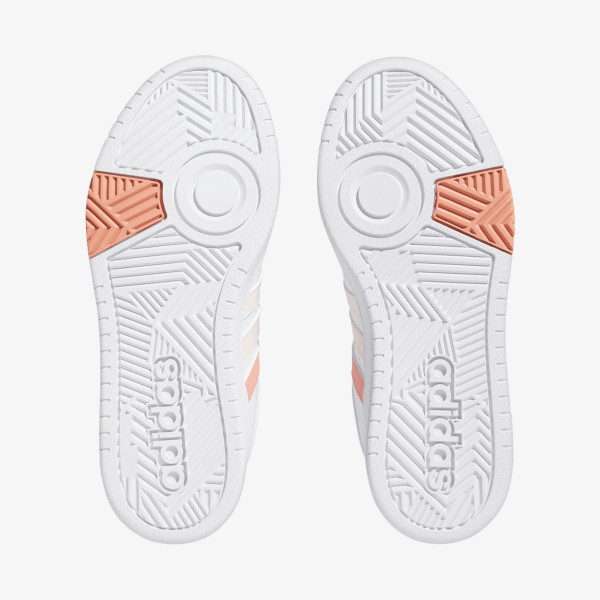 HOOPS 3.0 
