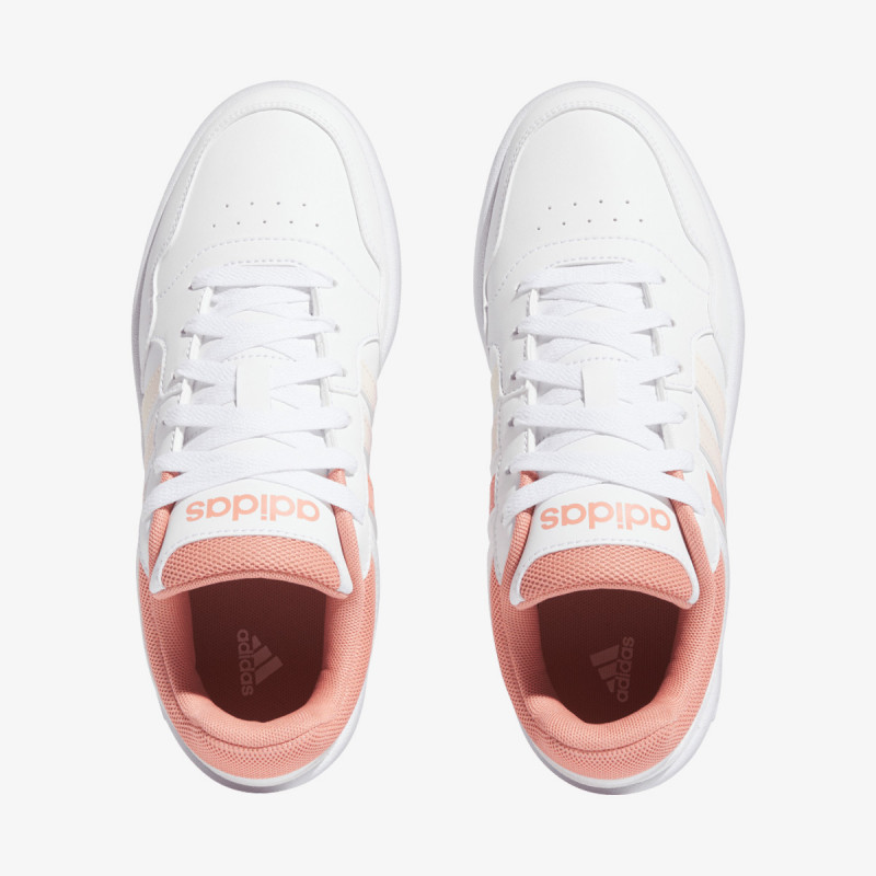 HOOPS 3.0 