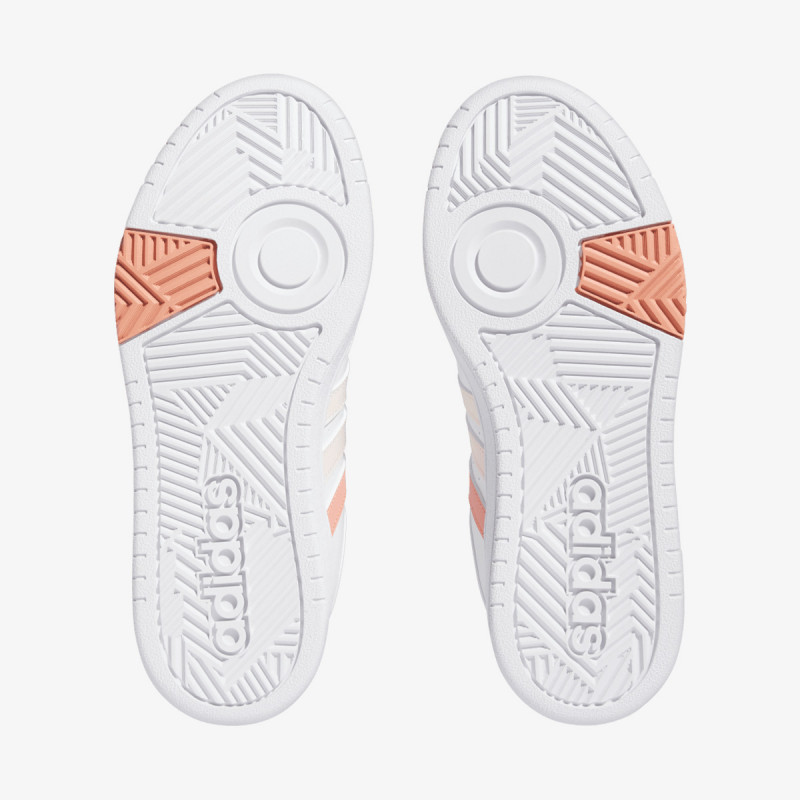 HOOPS 3.0 