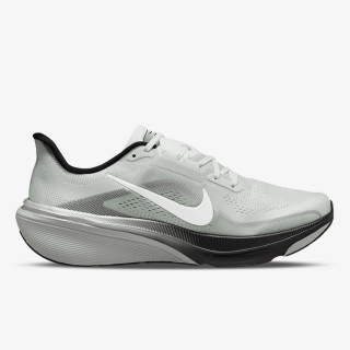 AIR ZOOM PEGASUS 42 RR 