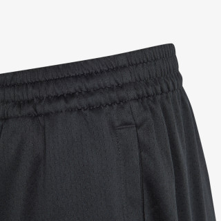 SHORTS PM FM 