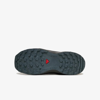Salomon XA Pro V8 CSWP 
