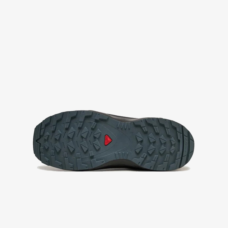 Salomon XA Pro V8 CSWP 
