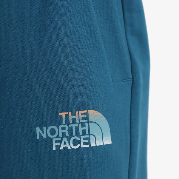 The North Face D2 Graphic 